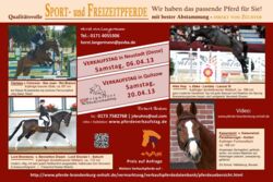 Nachwuchs- und Ponymeeting mit Verkaufstag in Neustadt (Dosse)
