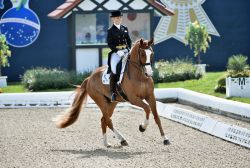Erfolg für das Gestüt Bon homme, Isabel Bache und Riverdance gewannen die Qualifikation zum Nürnberger Burg-Pokal in Hagen