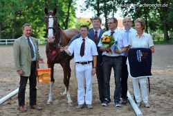 Die Quadroneur-Tochter Queen Rubin siegte bei den dressurbetonten Stuten - Foto: Schroeder