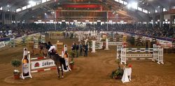 Die Graf von Lindenau-Halle bietet von Donnerstag bis Sonntag wieder Top-Sport beim CSI Neustadt-Dosse - Foto: Schroeder/Archiv