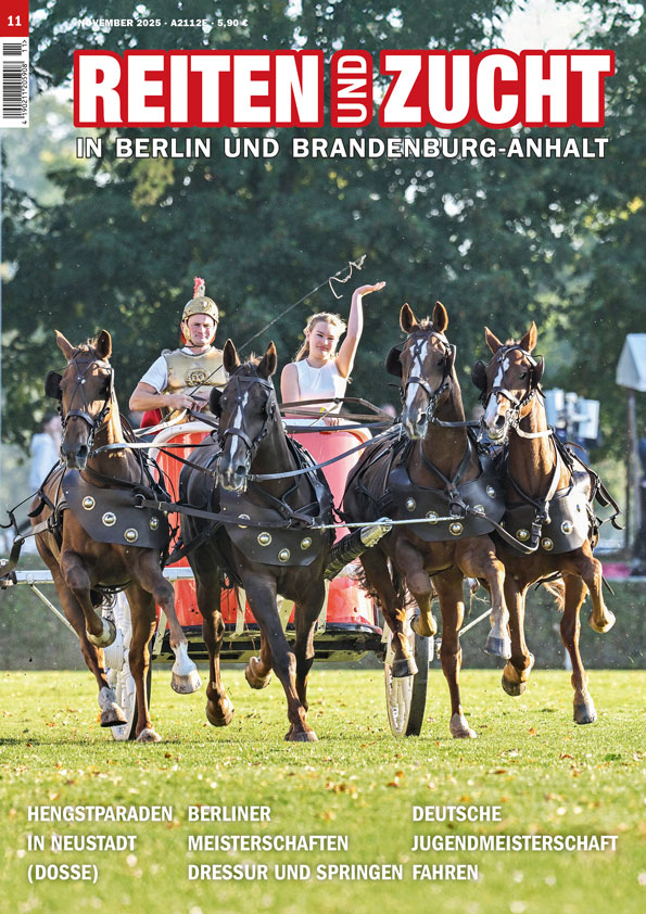Inhaltsverzeichnis der Ausgabe 11/2025 von REITEN und ZUCHT