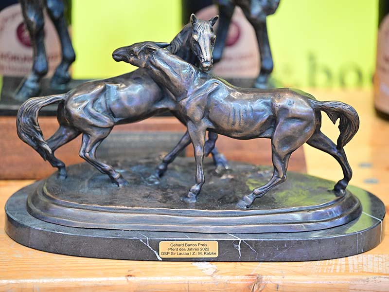 Pferd des Jahres 2023 Pferd des Jahres 2023